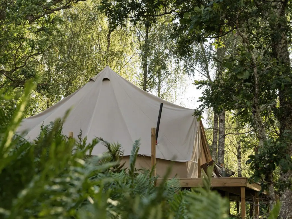 glamping tent in forest setting