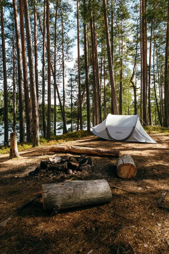 campsite with tent and campfire pit in a pine forest by a lake