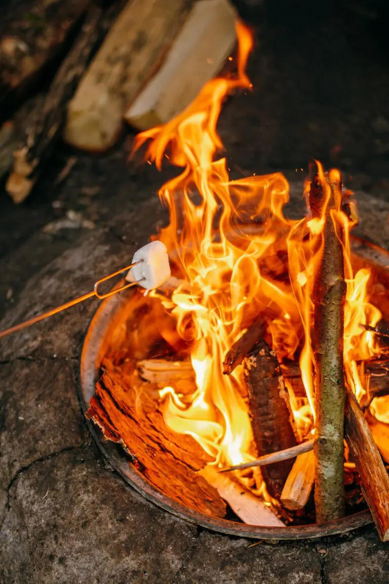 marshmallow roasting over a vibrant campfire at night