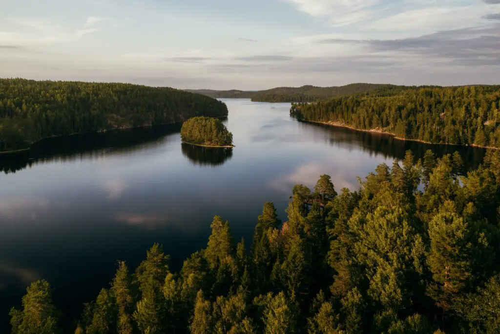 aerial view of a serene lake surrounded by lush green forests