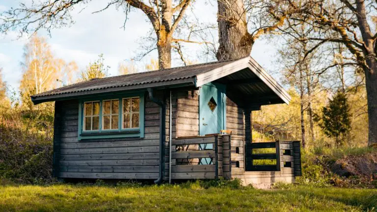 rustic wooden cabin with blue door in a sunny forest