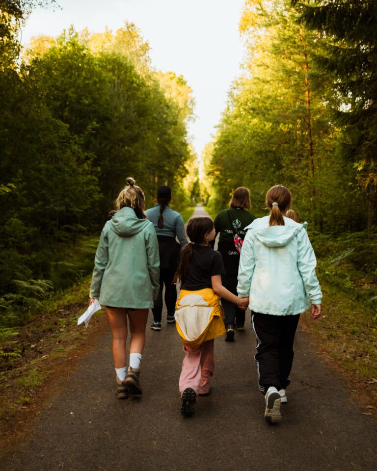 wandeling in het bos