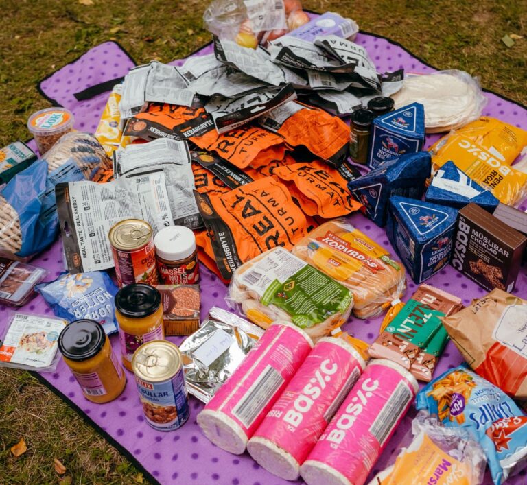 assortment of food and camping meals on a purple picnic blanket